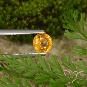 Safira Laranja escuro-dourado Natural 0.73ct, Redondo, VS