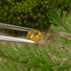Safira Laranja escuro-dourado Natural 0.73ct, Redondo, VS