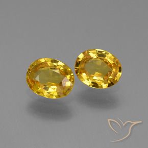 Pedras preciosas de Safira Dourado natural de 1.31 ct, oval, VS
