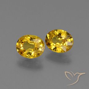 Pedras preciosas de Safira Dourado natural de 1.29 ct, oval, VS
