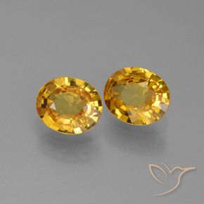 Pedras preciosas de Safira ouro profundo natural de 1.33 ct, oval, VS