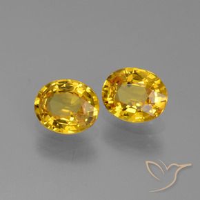 Pedras preciosas de Safira Amarelo escuro natural de 1.52 ct, oval, VS