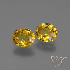 Pedras preciosas de Safira Amarelo escuro natural de 1.30 ct, oval, VVS-VS