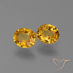 Pedras preciosas de Safira Dourado Escuro natural de 1.30 ct, oval, VS