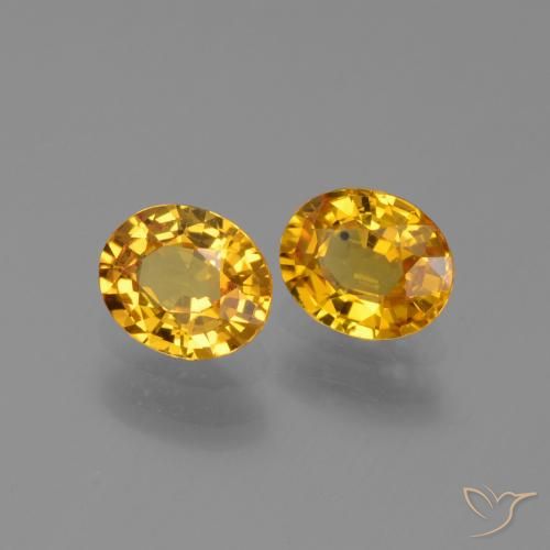 Pedras preciosas de Safira Dourado Escuro natural de 1.49 ct, oval, VS