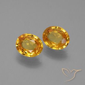 Pedras preciosas de Safira Dourado Escuro natural de 1.33 ct, oval, VS