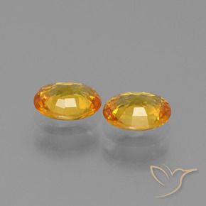 Pedras preciosas de Safira Dourado Escuro natural de 1.33 ct, oval, VS
