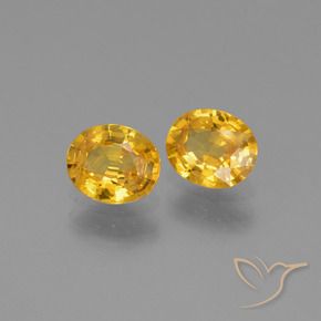 Pedras preciosas de Safira Dourado Escuro natural de 1.44 ct, oval, VS