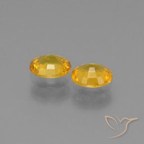 Pedras preciosas de Safira Dourado Escuro natural de 1.44 ct, oval, VS