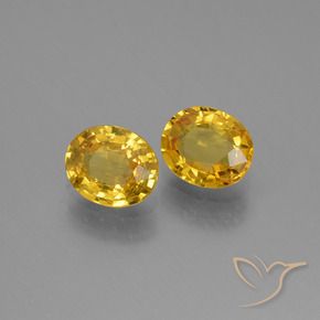 Pedras preciosas de Safira Dourado natural de 1.51 ct, oval, VS