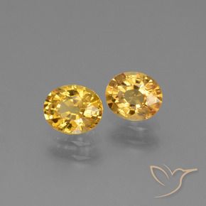 Pedras preciosas de Safira Dourado Escuro natural de 1.49 ct, oval, VS