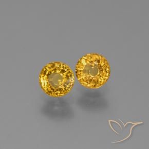 Pedras preciosas de Safira Dourado médio natural de 1.29 ct, Redondo, VVS-VS