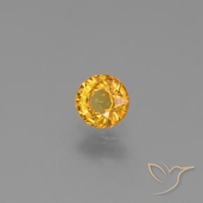Safira Dourado Escuro Natural 0.62ct, Redondo, VVS