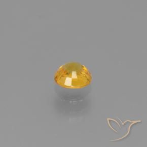 Safira Dourado Escuro Natural 0.62ct, Redondo, VVS