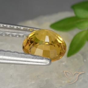 Safira Dourado Escuro Natural 0.83ct, Redondo, VVS