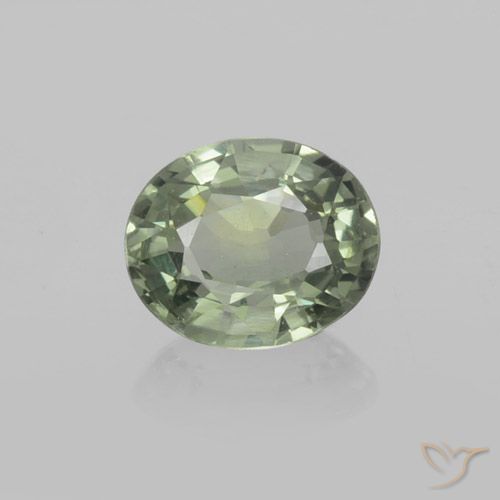 0.77ct Natural Verde floresta Safira, oval, VVS-VS