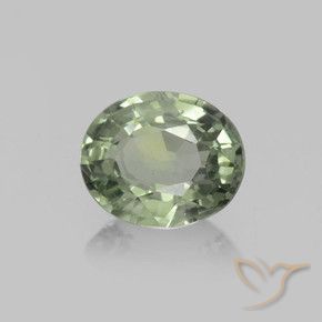 Safira Verde floresta Natural 0.77ct, oval, VVS-VS