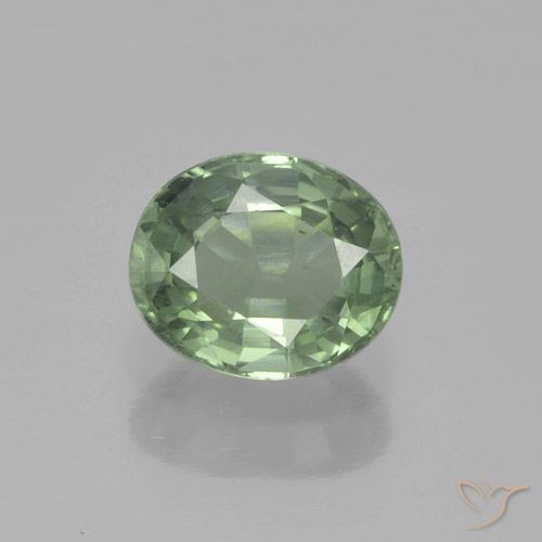 0.88ct Natural Verde Floresta Claro Safira, oval, VS