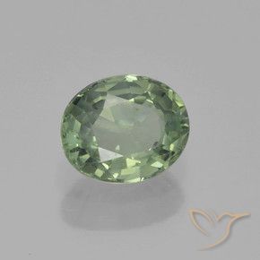 Safira Verde Floresta Claro Natural 0.88ct, oval, VS