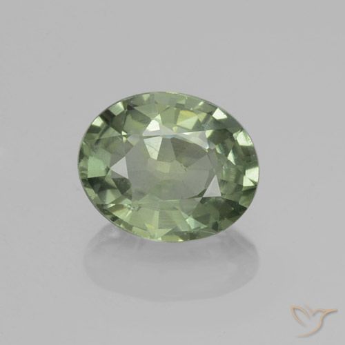 0.81ct Natural Verde floresta Safira, oval, VVS-VS