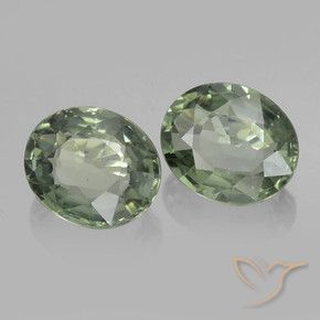 Pedras preciosas de Safira Verde Terroso natural de 1.53 ct, oval, VVS-VS