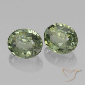 Pedras preciosas de Safira Verde Terroso natural de 1.47 ct, oval, VVS-VS