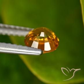Safira Laranja médio-escuro Natural 0.88ct, Redondo, VVS-VS