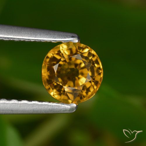 0.68ct Natural Dourado Escuro Safira, Redondo, VVS-VS