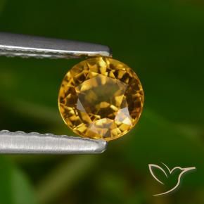 Safira Dourado Escuro Natural 0.68ct, Redondo, VVS-VS