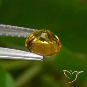 Safira Dourado Escuro Natural 0.68ct, Redondo, VVS-VS