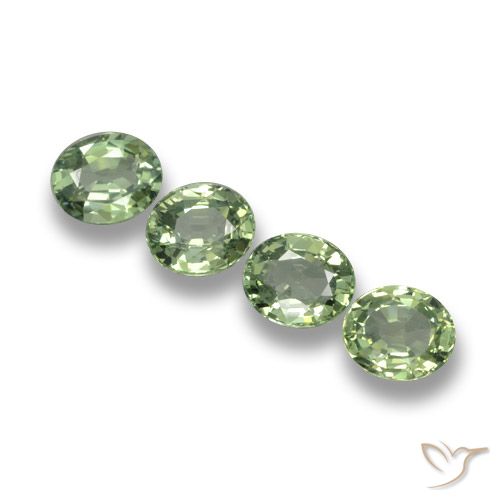 3.47ctw Natural Verde médio Safira, oval, VVS-VS