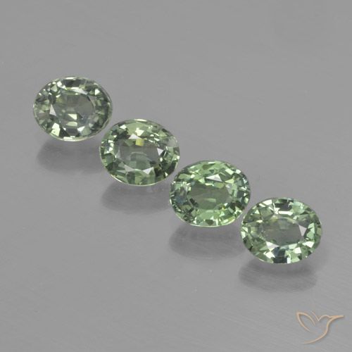 3.17ctw Natural Verde Floresta Claro Safira, oval, VVS-VS