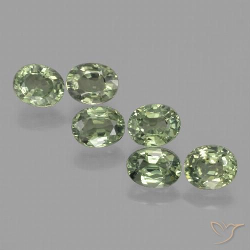 4.91ctw Natural Verde floresta Safira, oval, VVS-VS