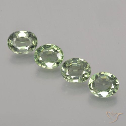 3.37ctw Natural Verde Terroso Safira, oval, VVS-VS