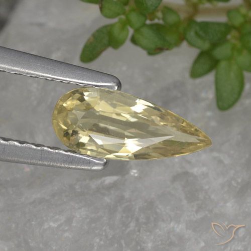 0.61ct Natural Creme Safira, Formato de pêra, VVS-VS