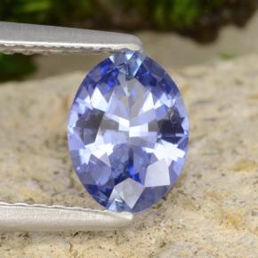 Safira Azul marinho médio Natural 0,89ct, Corte Oval, VS