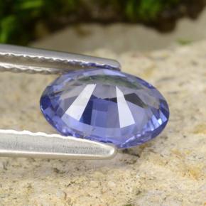Safira Azul marinho médio Natural 0,89ct, Corte Oval, VS