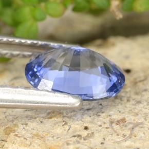 Safira azul marinho médio natural 0,89ct, corte oval, VVS
