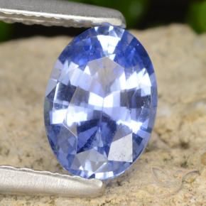 Safira Azul marinho médio Natural 0.82ct, oval, VVS