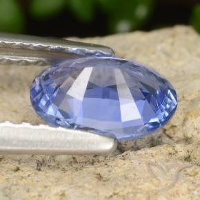 Safira Azul marinho médio Natural 0.82ct, oval, VVS