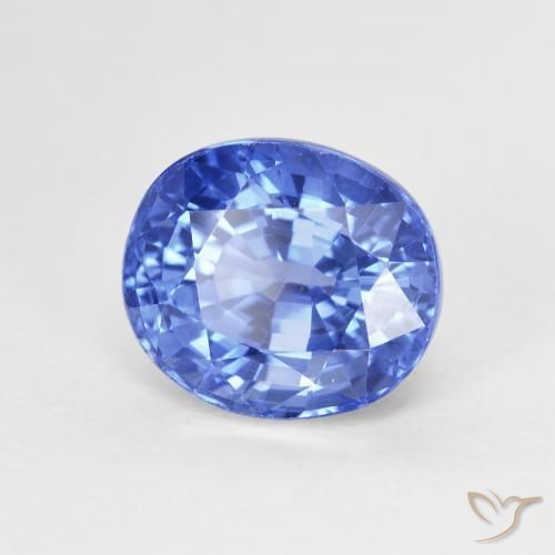 Safira Azul marinho médio Natural 4.07ct, oval, VVS-VS