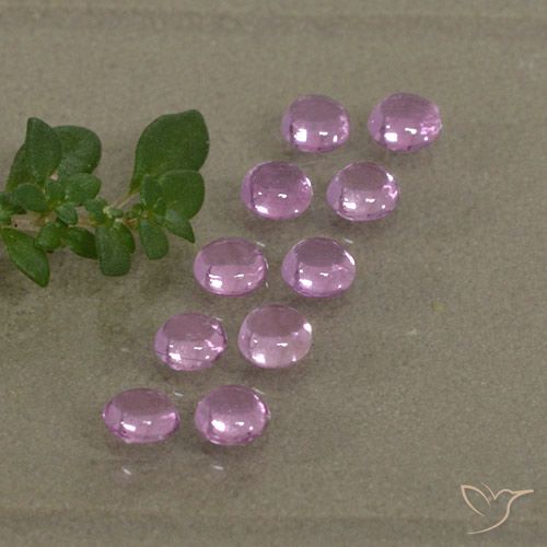 1.53ctw Natural Roxo Rosa Safira, Redondo, Transparente