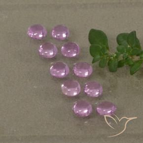 Pedras preciosas de Safira Roxo Rosa natural de 1.53 ct, Redondo, Transparente