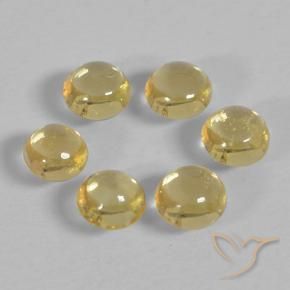 Pedras preciosas de Safira Amarelo escuro natural de 1.23 ct, Redondo, Transparente