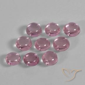 Pedras preciosas de Safira Medium Deep Pink natural de 1.56 ct, Redondo, Transparente