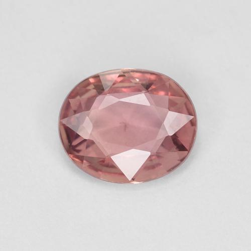 Safira rosa natural 0,60ct, corte oval, VS