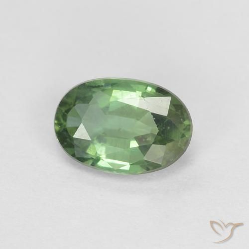0.53ct Natural Verde floresta Safira, oval, VVS-VS