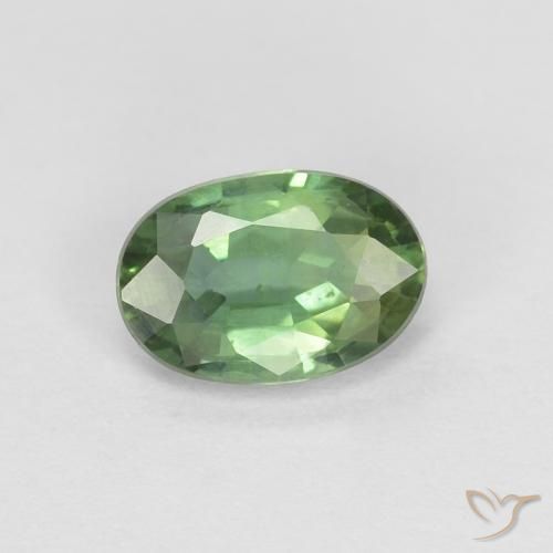 Safira Verde floresta Natural 0.53ct, oval, VVS-VS