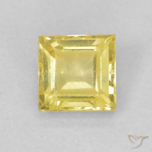 0.57ct Natural Abelha Amarela Safira, Quadrado, VVS-VS