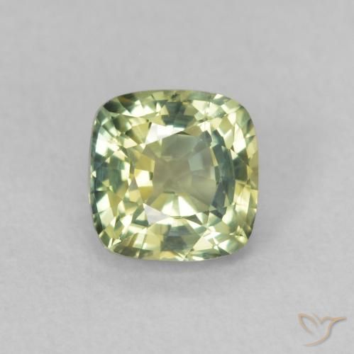 0.65ct Natural Verde amarelado Safira, Almofada, VVS-VS